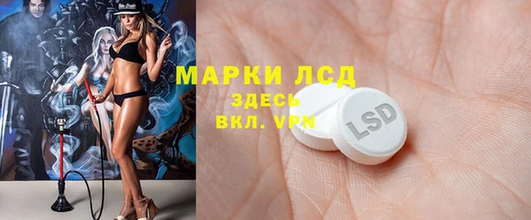 индика Алексеевка