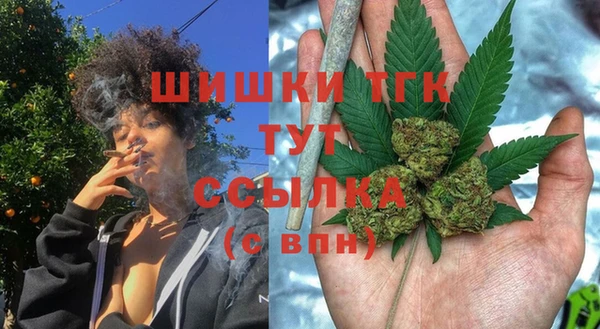 крисы Кинешма