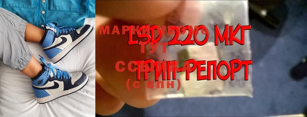 прущие грибы Алзамай