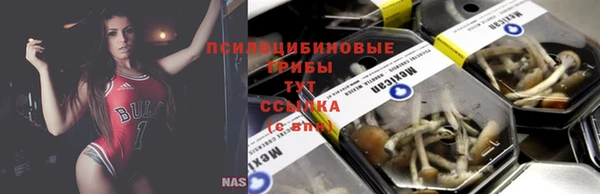 молекула духа Киреевск